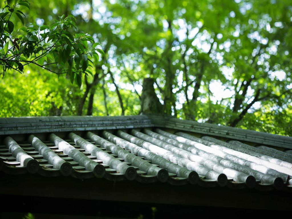 Kurokawa-So Hotel Minamioguni Exterior photo